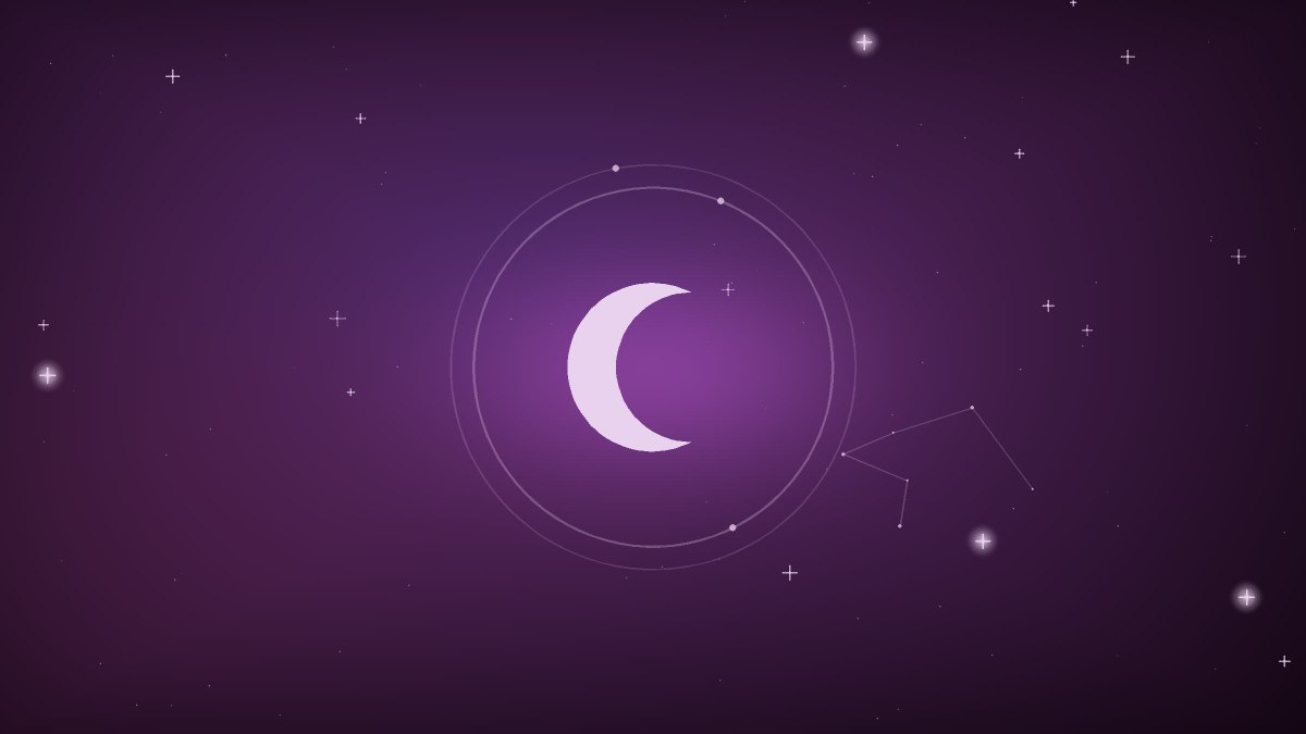 A quiet field of stars above a sleeping neighborhood