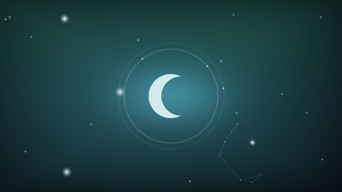 A scatter of small stars over a dim field