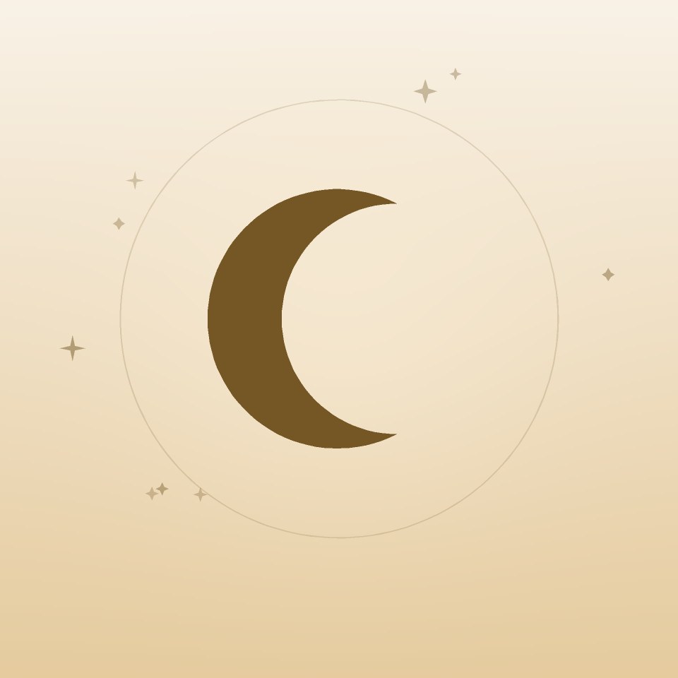 Signs From the Afterlife: Feathers, Coins & Dreams Pocket Guide
